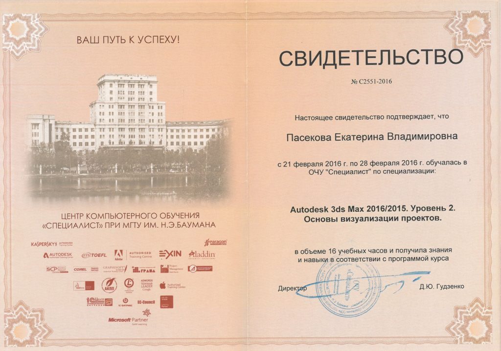 Свидетельство о специализации Екатерины Пасековой Основы визуализации проектов