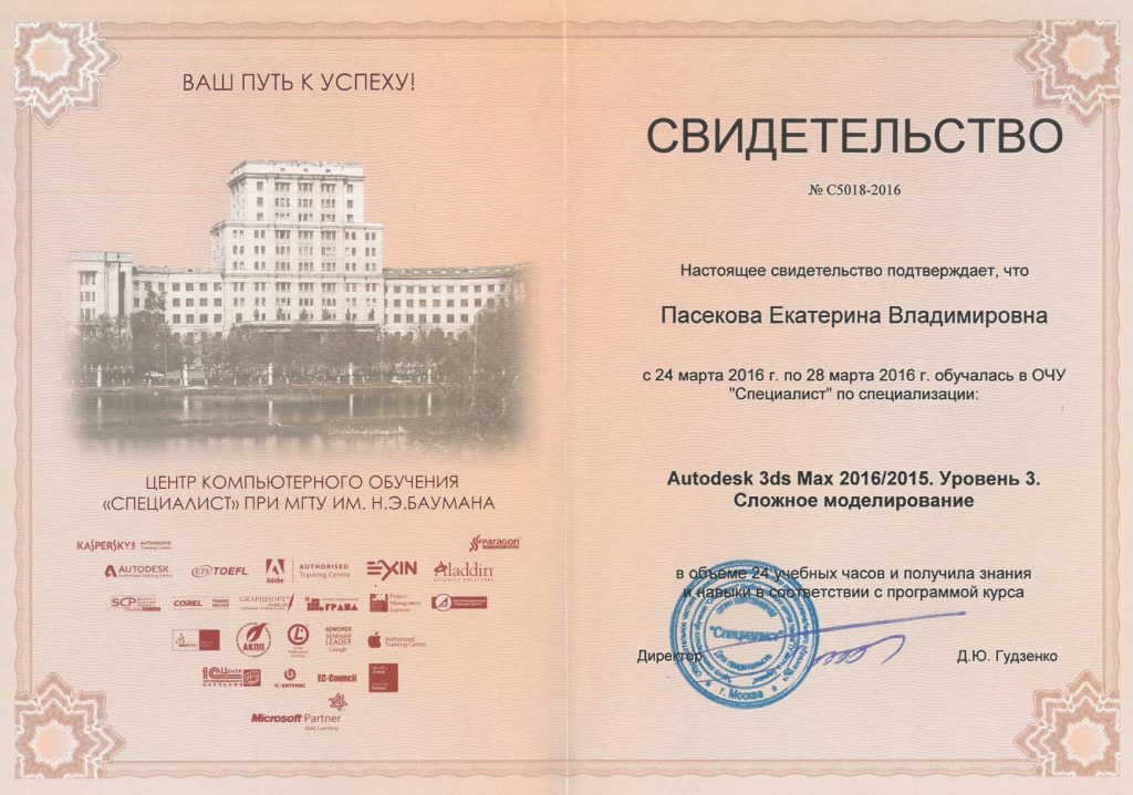 Свидетельство о специализации Екатерины Пасековой Сложное моделирование