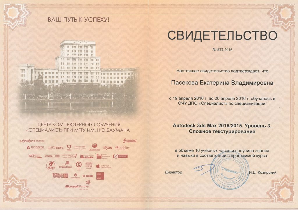 Свидетельство о специализации Екатерины Пасековой Сложное текстурирование